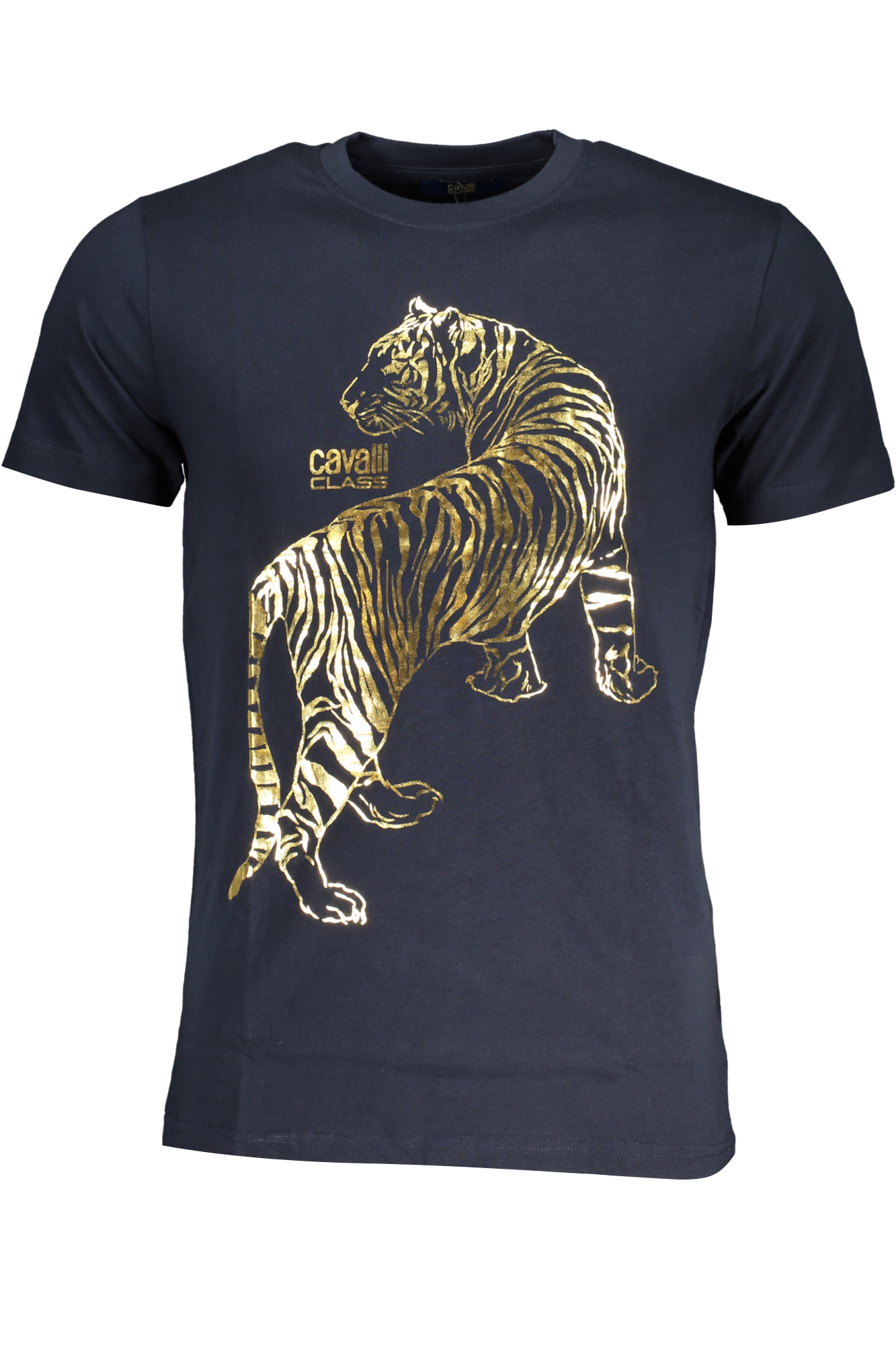 T-shirt CAVALLI CLASS για άνδρες – Μπλε