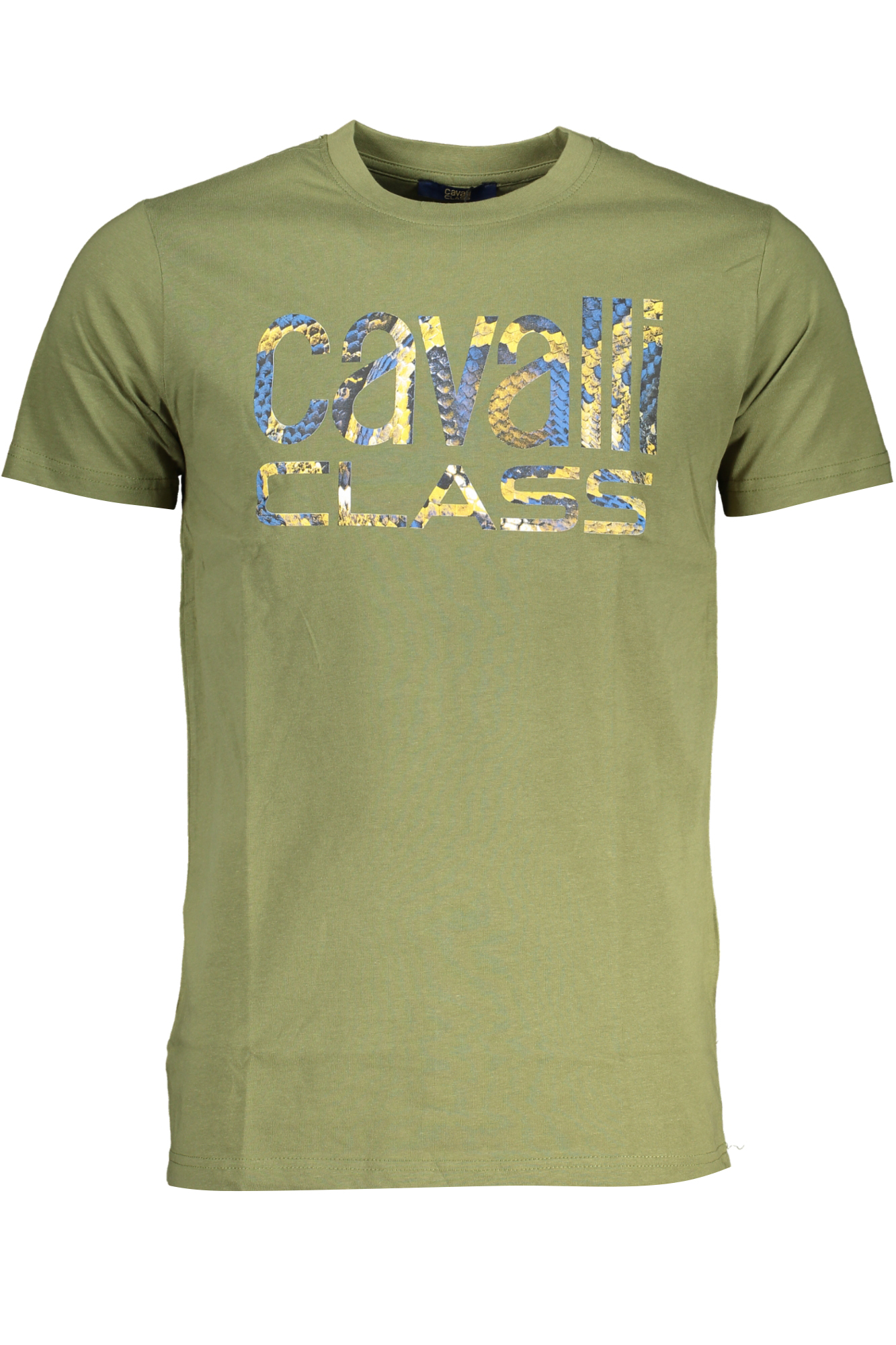 T-shirt CAVALLI CLASS για άνδρες – Πράσινο