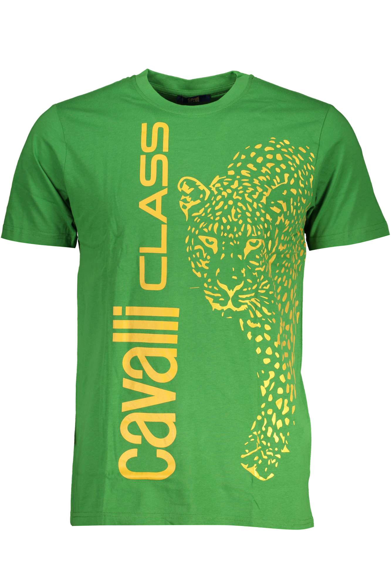 T-shirt Cavalli Class για άνδρες – Πράσινο