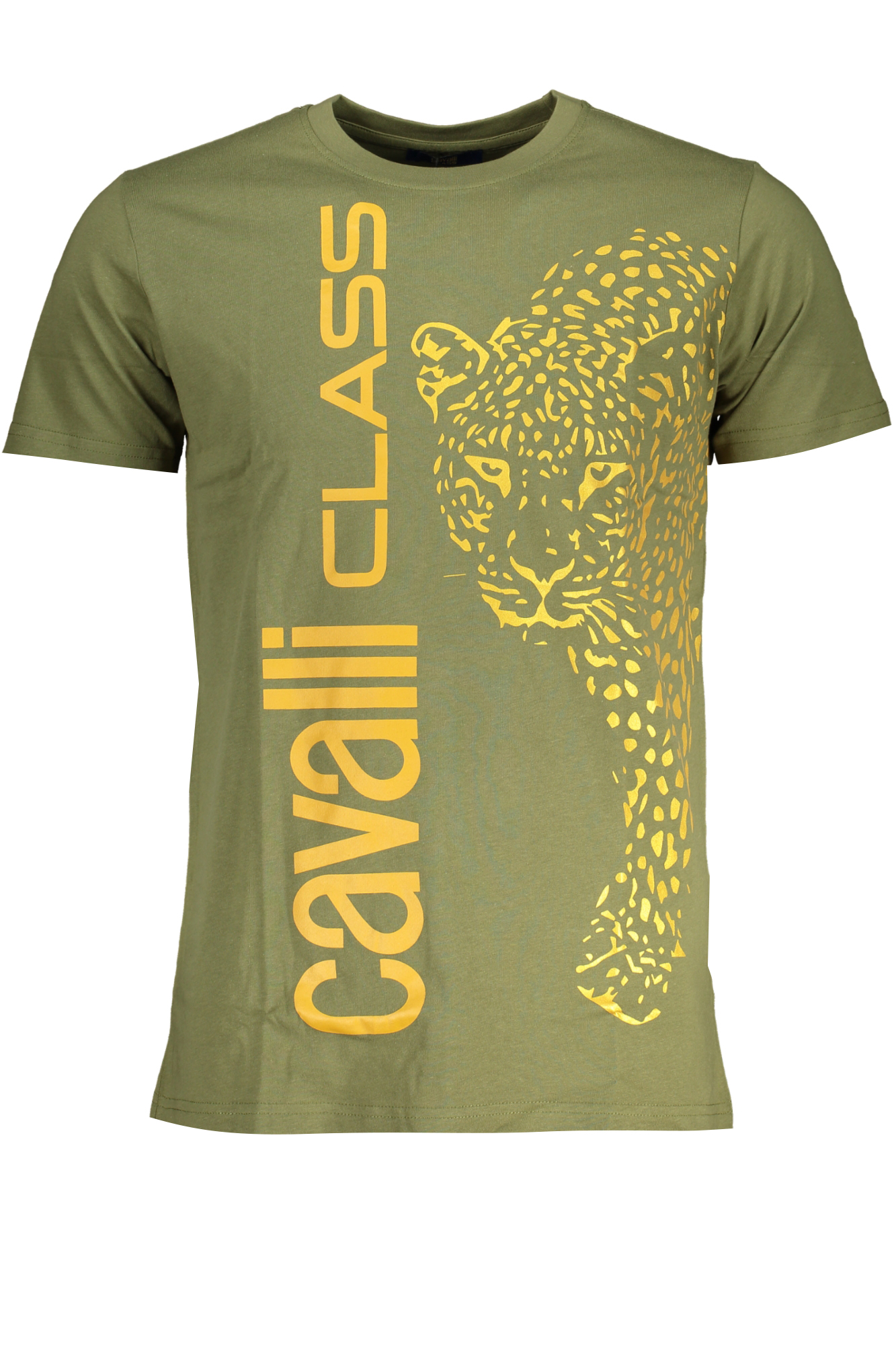T-shirt CAVALLI CLASS για άνδρες – Πράσινο