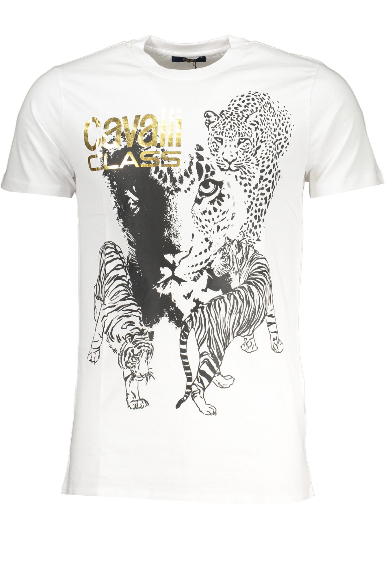 T-shirt CAVALLI CLASS για άνδρες – Λευκό
