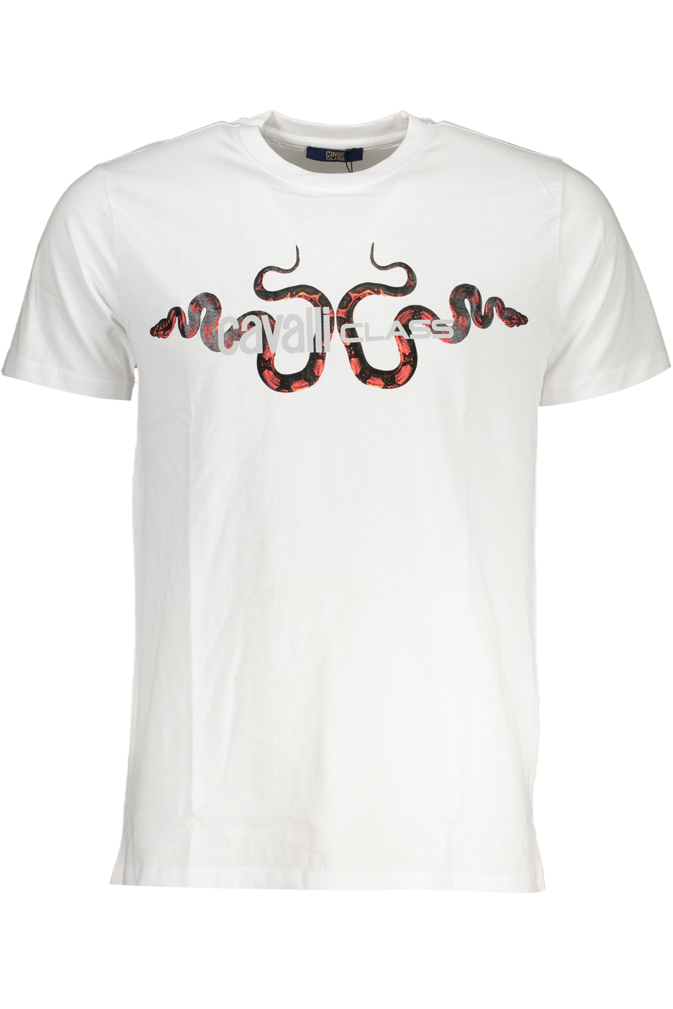 T-shirt CAVALLI CLASS για άνδρες – Λευκό