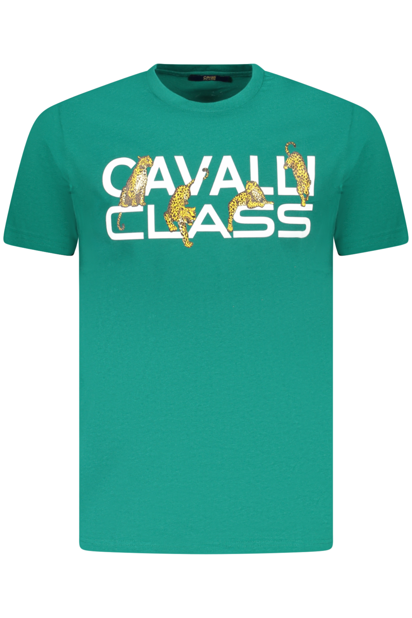 T-shirt Cavalli Class για άνδρες – Πράσινο
