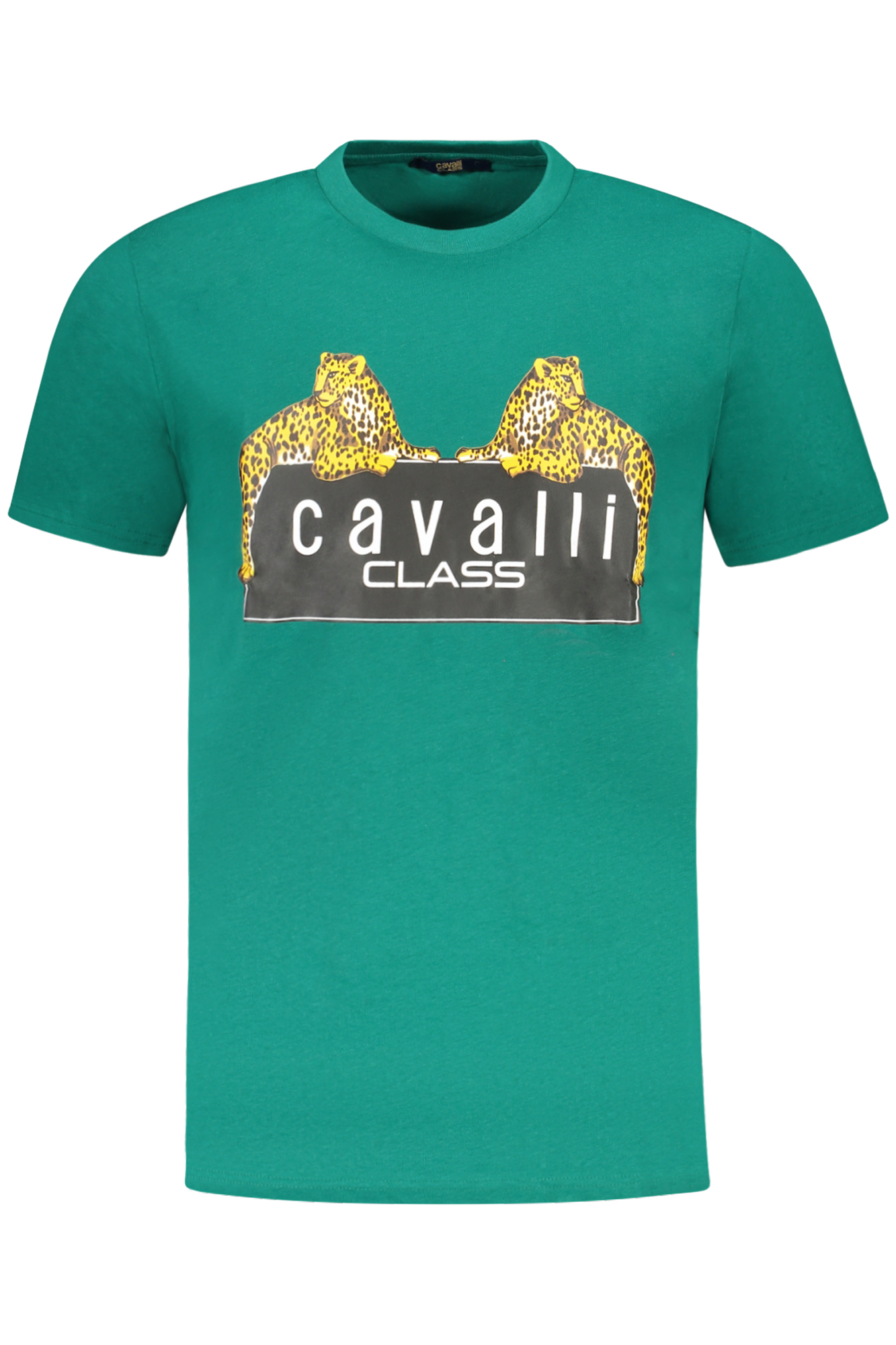 T-shirt Cavalli Class για άνδρες – Πράσινο