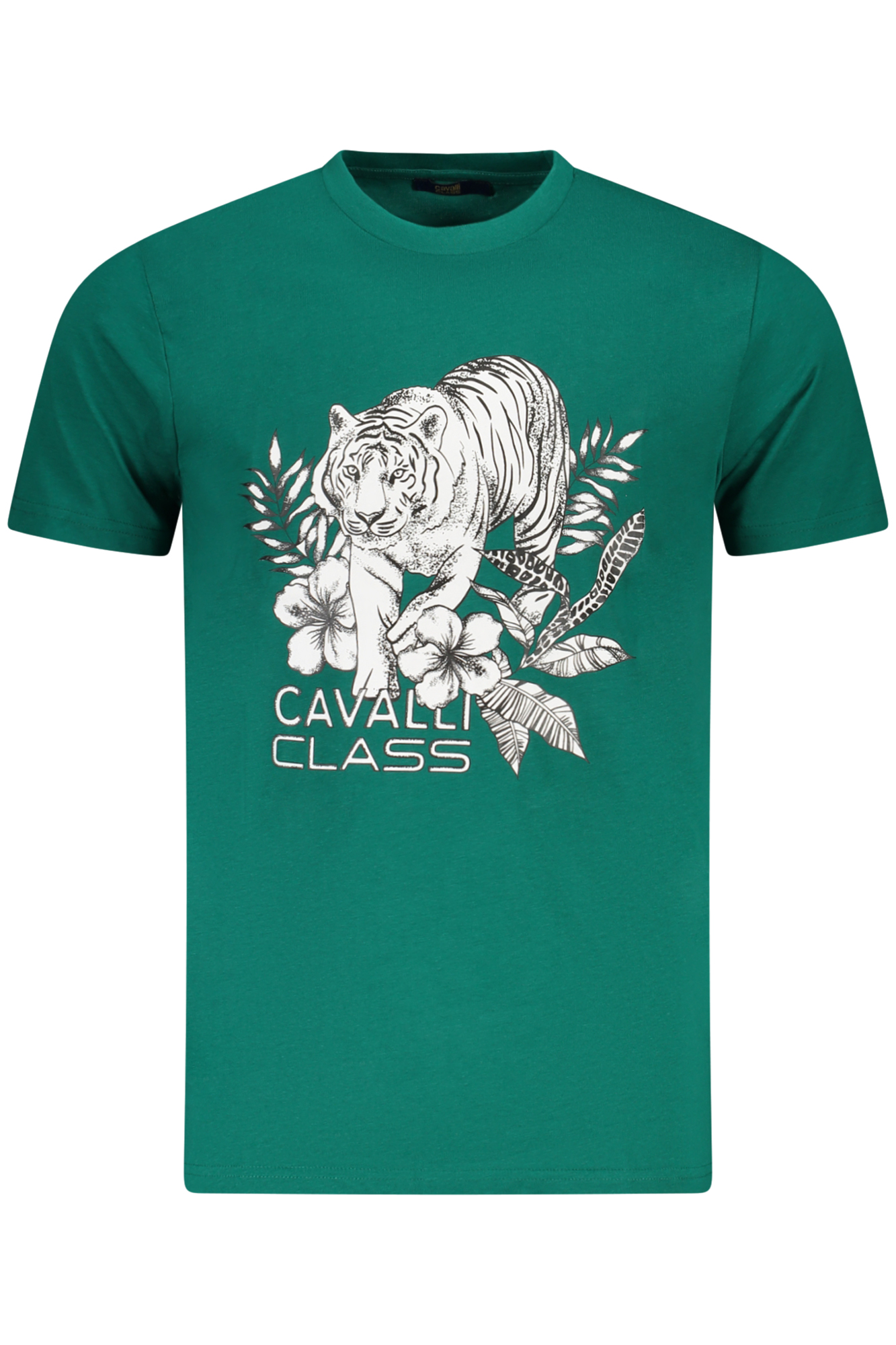 T-shirt Cavalli Class για άνδρες – Πράσινο