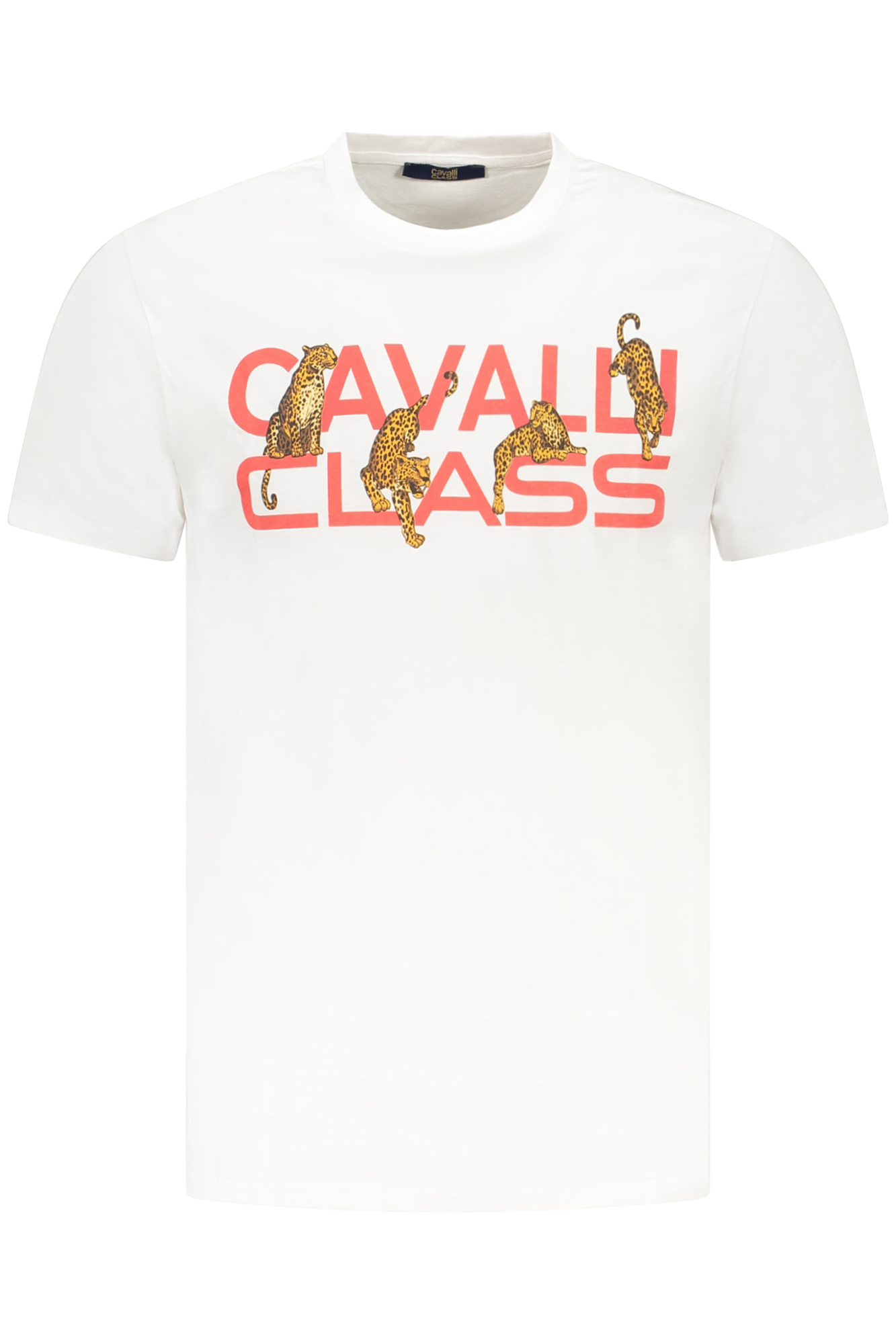 T-shirt Cavalli Class για άνδρες – Λευκό