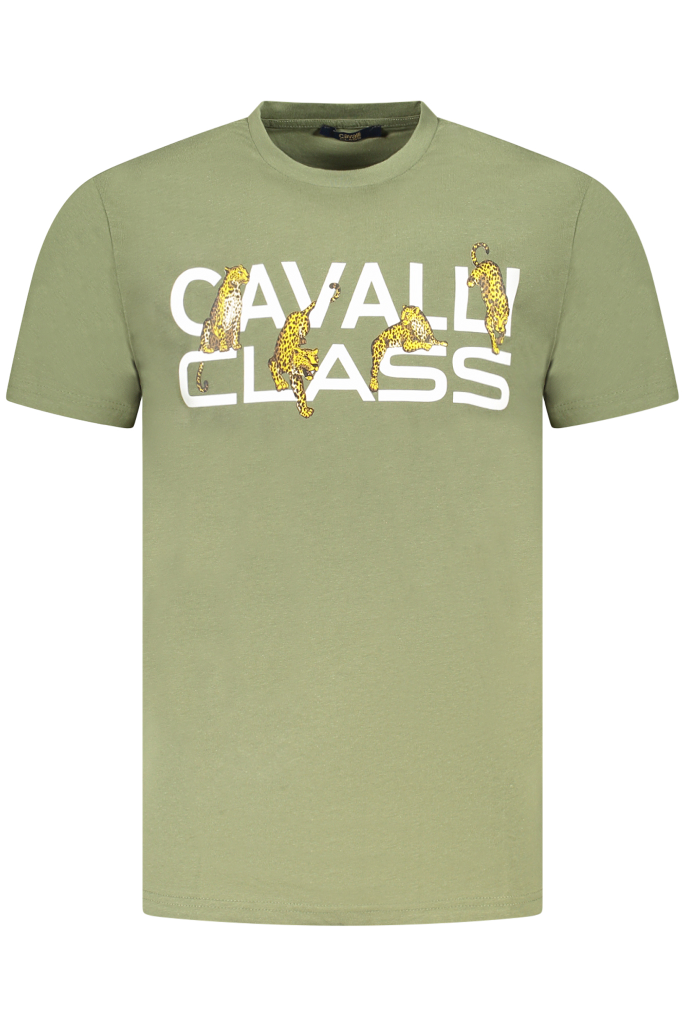 T-shirt CAVALLI CLASS για άνδρες – Πράσινο